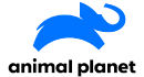 Animal Planet