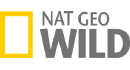 Nat Geo Wild HD