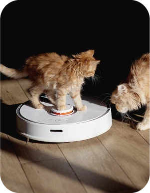 Divi rudi kaķēni spēlējas ar baltu robotu putekļu sūcēju, kas tīra koka grīdu — viens stāv uz ierīces, otrs to vēro.