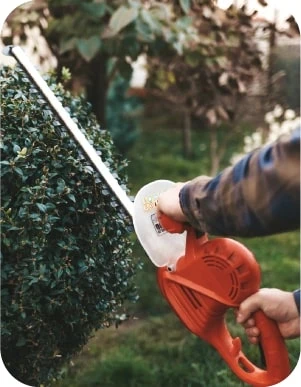 Cilvēks tumšās drēbēs apgriež zaļu dzīvžogu dārzā, izmantojot oranžas elektriskās dzīvžoga šķēres.