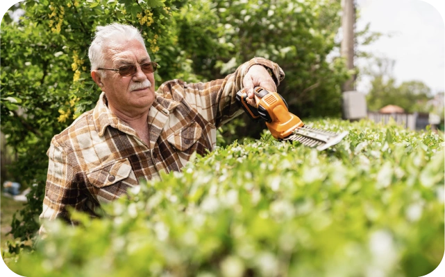 Vecāka gadagājuma vīrietis rūtainā kreklā apgriež dzīvžogu ar elektriskajām dārza šķērēm, fonā koki un krūmi.