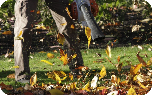 Cilvēks ar lapu pūtēju izpūš no zāliena krāsainās rudens lapas, lapas paceļas gaisā.