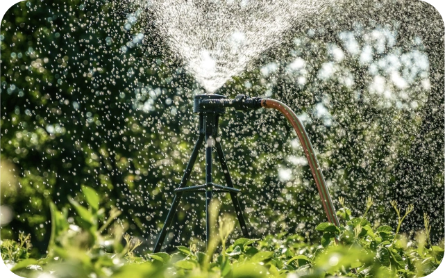 Dārza laistītājs uz statīva ar pievienotu šļūteni, izsmidzina ūdeni uz augiem saulainā dienā; fonā koki.