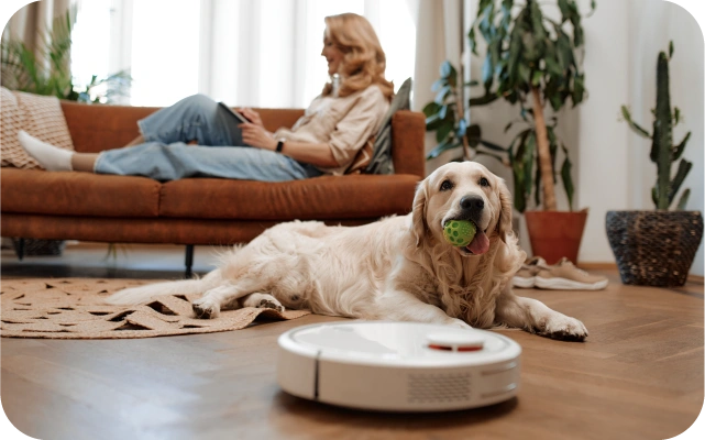 Dzīvojamā istabā sieviete apgulusies dīvānā un lieto mobilo telefonu, zelta retrīvers guļ uz grīdas ar zaļu rotaļlietu mutē; telpu tīra balts robots putekļu sūcējs.