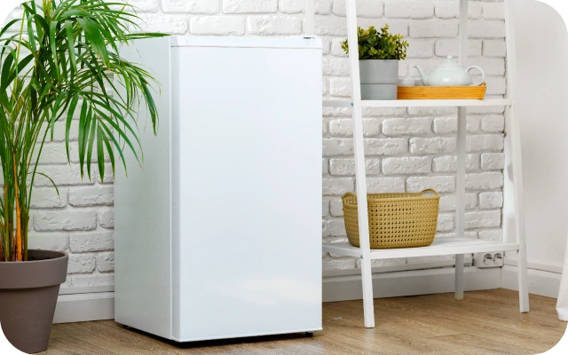 Kompakts balts ledusskapis modernā interjerā ar baltu ķieģeļu sienu, koka grīdu, dekoratīviem plauktiem labajā pusē un lielu istabas augu kreisajā pusē.