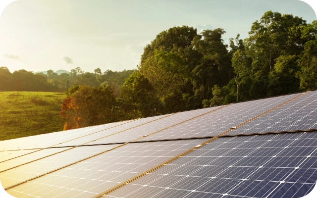 Saules apspīdēti saules paneļi, fonā pļava un mežs.