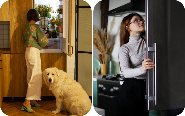 Kolāžas kreisajā pusē sieviete stāv pie atvērtām ledusskapja durvīm, kurā iekšā ir ziedi, blakus sievietei sēž liels, pūkains suns. Labajā pusē sieviete stāv pie ledusskapja; ledusskapja durvis daļēji aizsedz sievieti, fonā plīts.