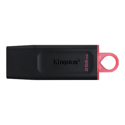 Kingston DataTraveler 256GB USB3.2 DTKN/256GB