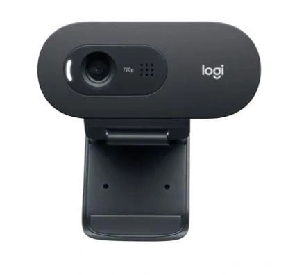 Logitech C505 Webcam