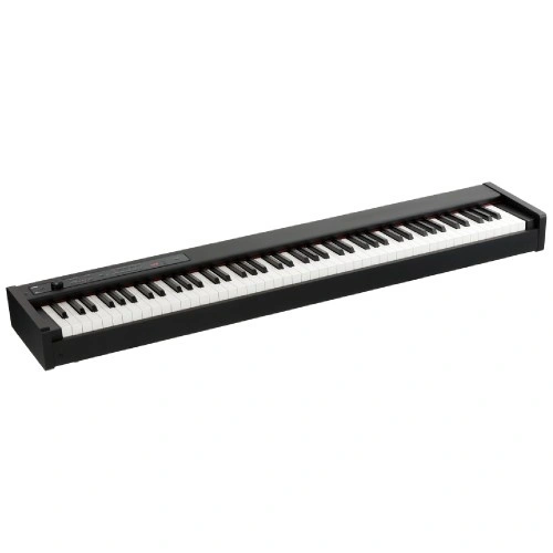 Korg D1 Black