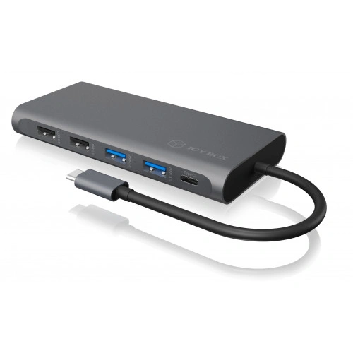 Raidsonic Icy Box IB-DK4050-CPD