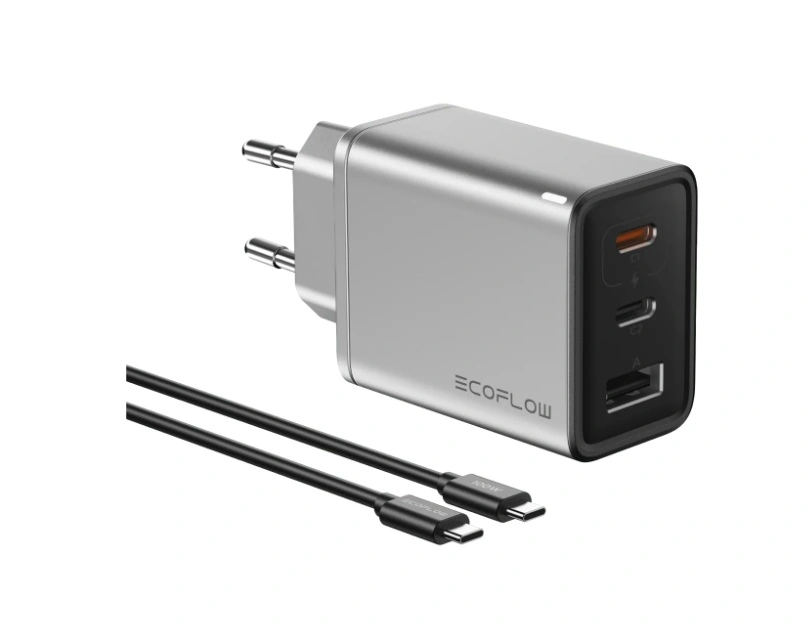 EcoFlow RAPID 65W