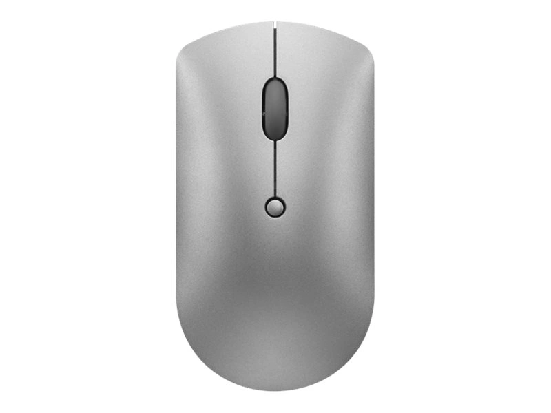 Lenovo 600 Silent Iron grey