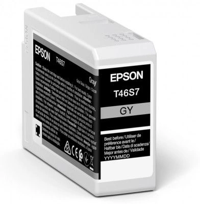 Epson UltraChrome Pro 10 ink T46S7 Ink Grey