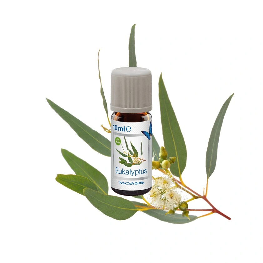 Venta Aromatizētāju komplekts Organic fragrance Eucalyptus