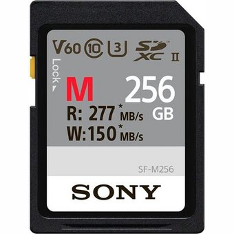 Sony Professional SFG2M SDXC 256 GB