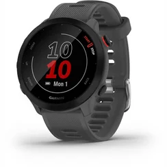Viedpulksteņi Garmin Forerunner 55 Monterra Grey