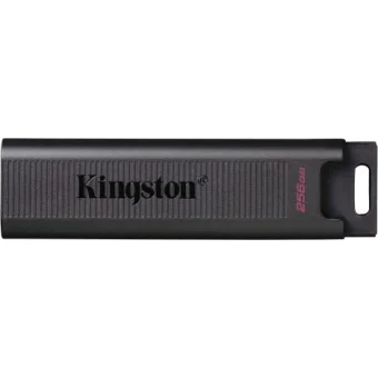 USB zibatmiņa Kingston 256GB USB Type C  DTMAX/256GB