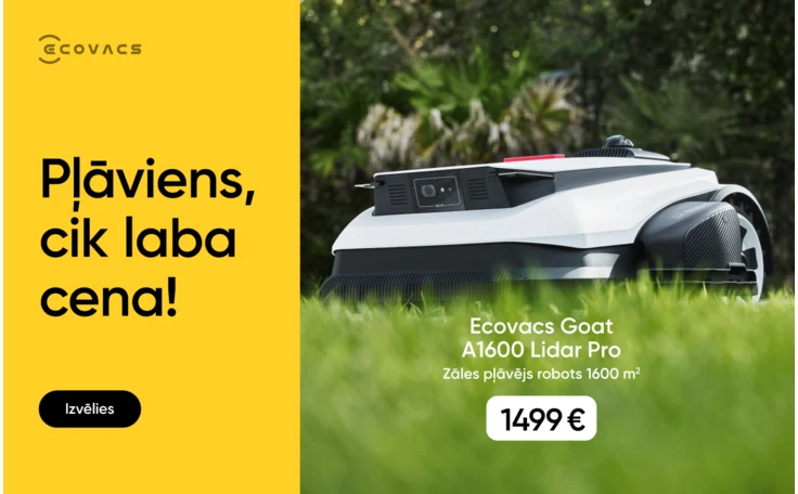 03032025 Zobubirstes