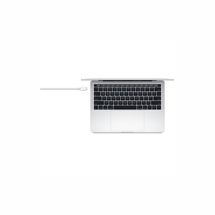 Apple Thunderbolt 3 (USB-C) Cable 0.8 m