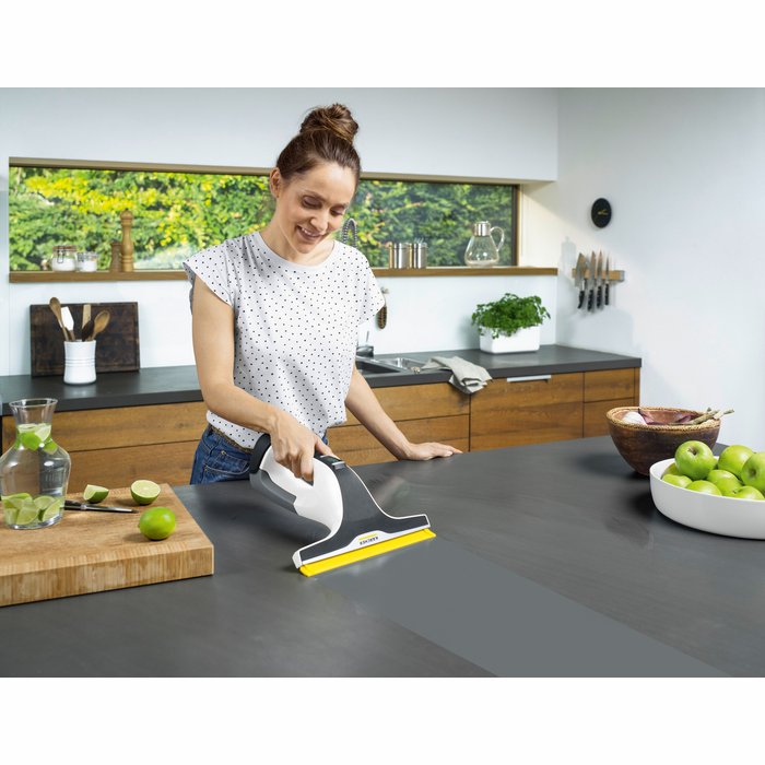 Karcher logu mazgātājs WV 6 Plus 1.633-530.0