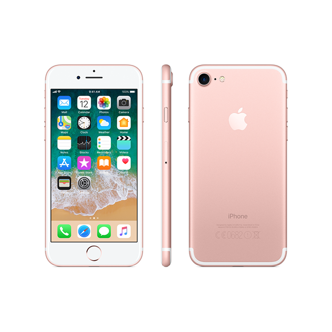 apple 7 rose gold