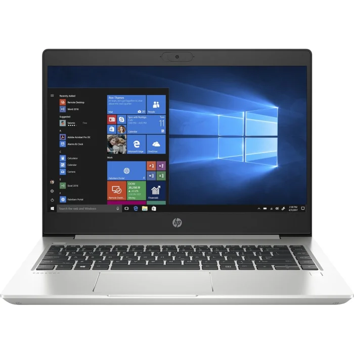 Portatīvie datori HP ProBook 455 G7 15.6" 1L3U0EA#B1R