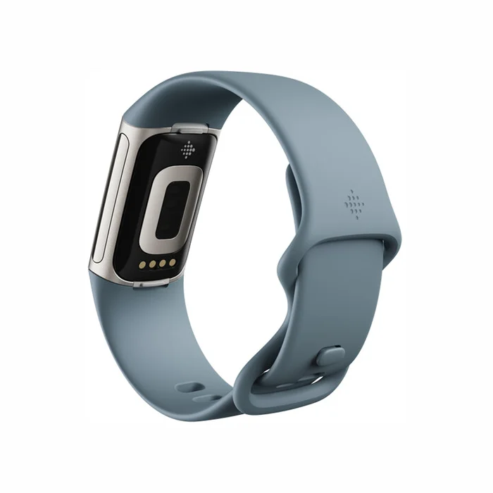 Fitnesa aproce Fitbit Charge 5 Steel Blue / Platinum Stainless Steel [Mazlietots]