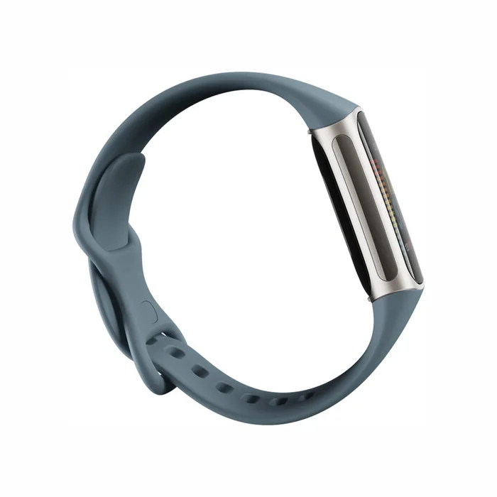 Fitnesa aproce Fitbit Charge 5 Steel Blue / Platinum Stainless Steel [Mazlietots]