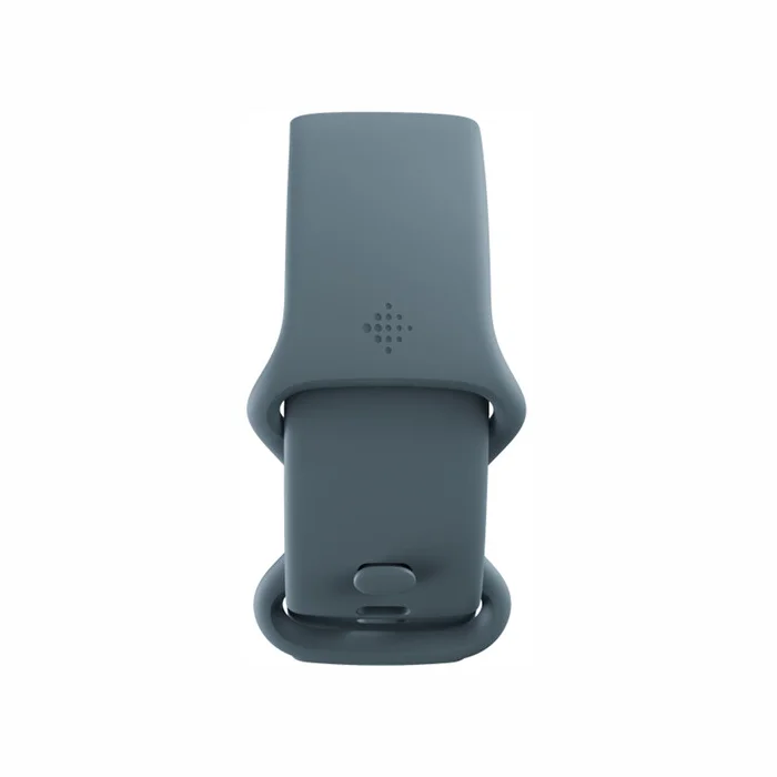 Fitnesa aproce Fitbit Charge 5 Steel Blue / Platinum Stainless Steel [Mazlietots]