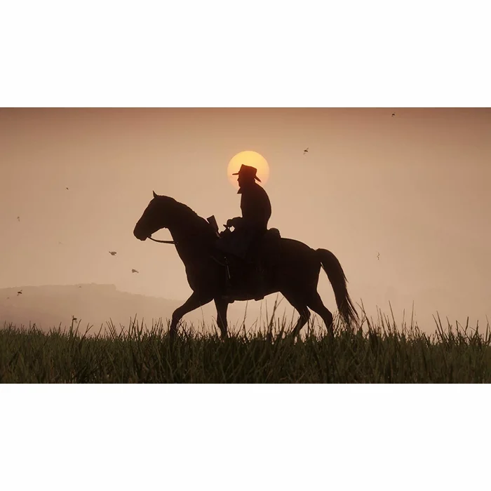 Spēle Red Dead Redemption 2 Xbox One