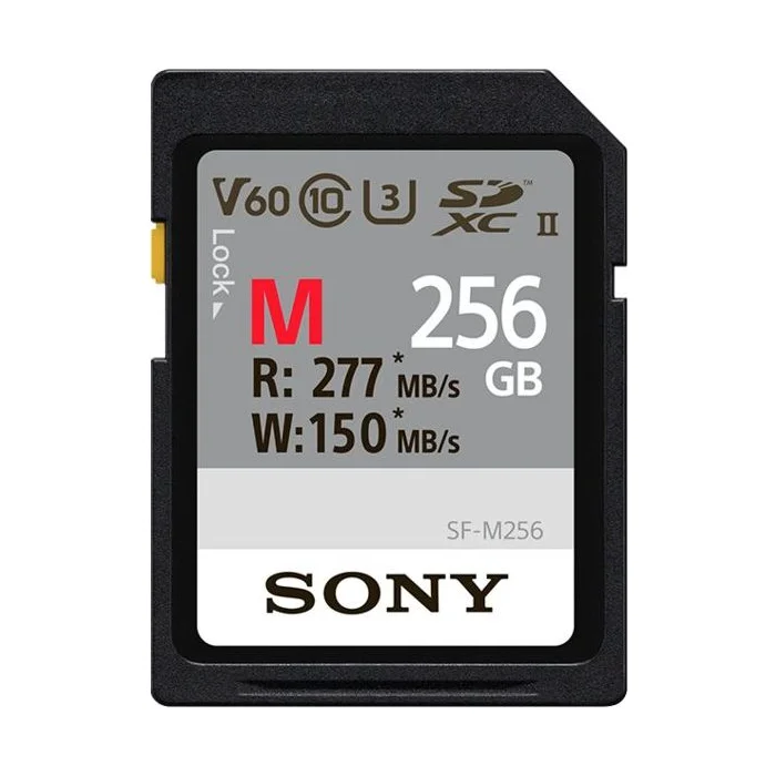Sony Professional SFG2M SDXC 256 GB