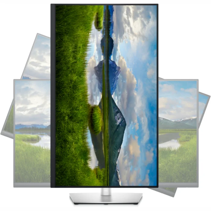Monitori Dell 210-AXNJ/P2 31.5"