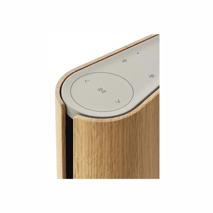 Bang & Olufsen Beosound Emerge AL2 Gold Tone