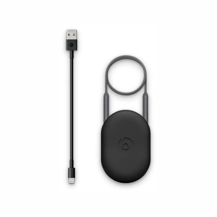 Austiņas Apple Beats X Earphones - Grey