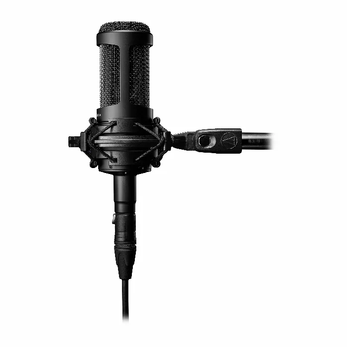 Mikrofons Audio Technica AT2035 Black