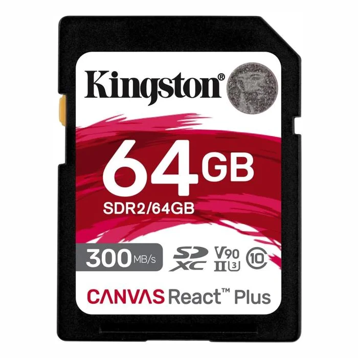 Kingston 64GB SDR2/64GB