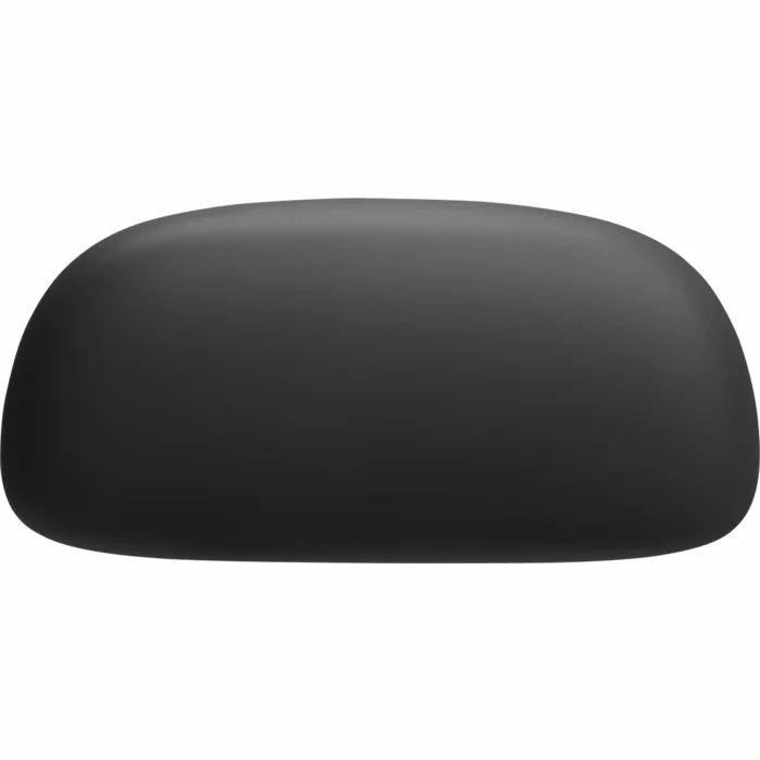 Austiņas JBL Tune Buds 2 Black