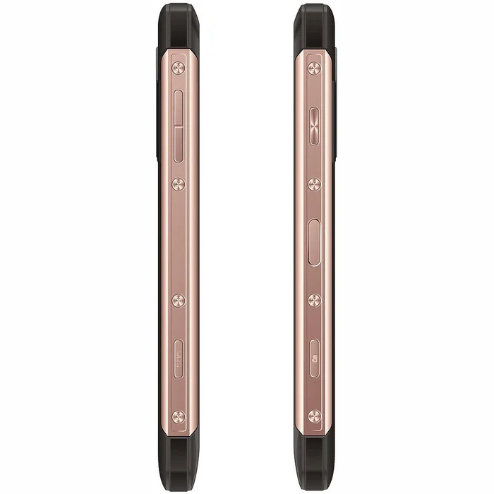Mobilie telefoni un viedtālruņi Blackview BV8000 Pro 64GB Gold