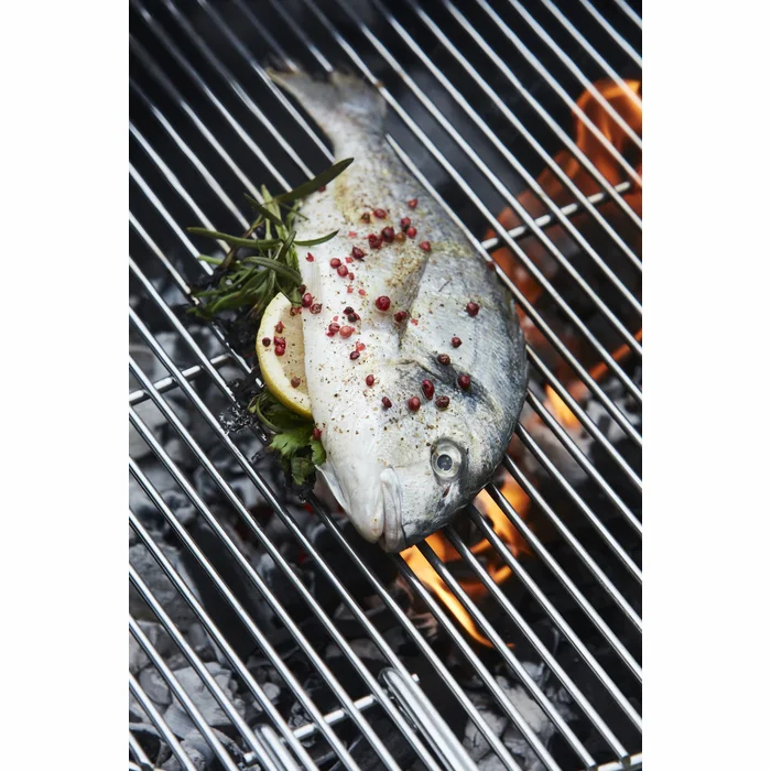 Barbecook Charcoal Barbecue Loewy 50 BC-CHA-1008