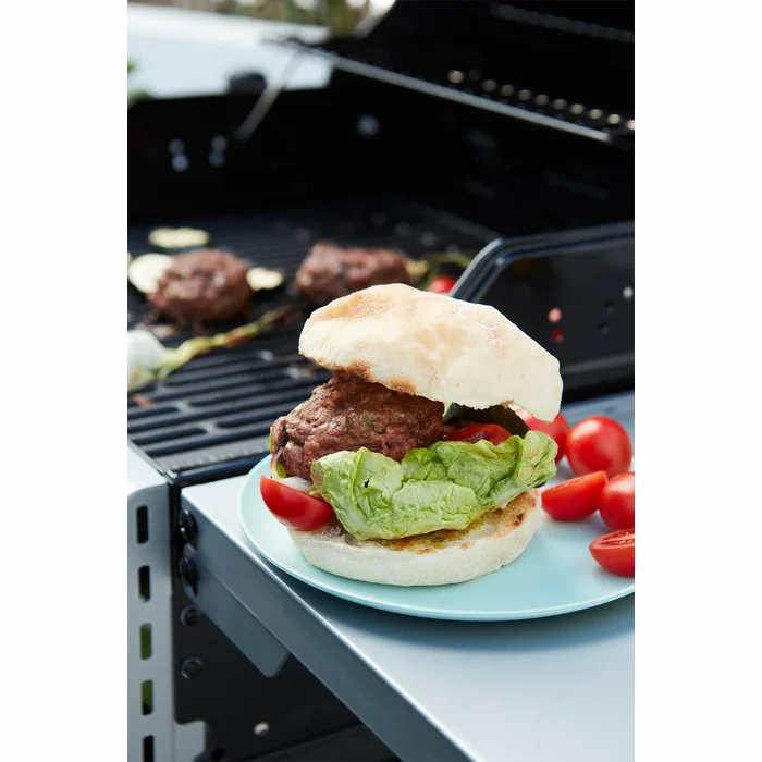 Barbecook Gas Barbecue Spring 2002 BC-GAS-2009