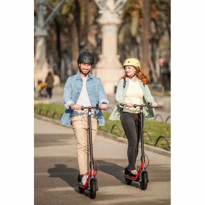 Segway Ninebot KickScooter D38E Black Red