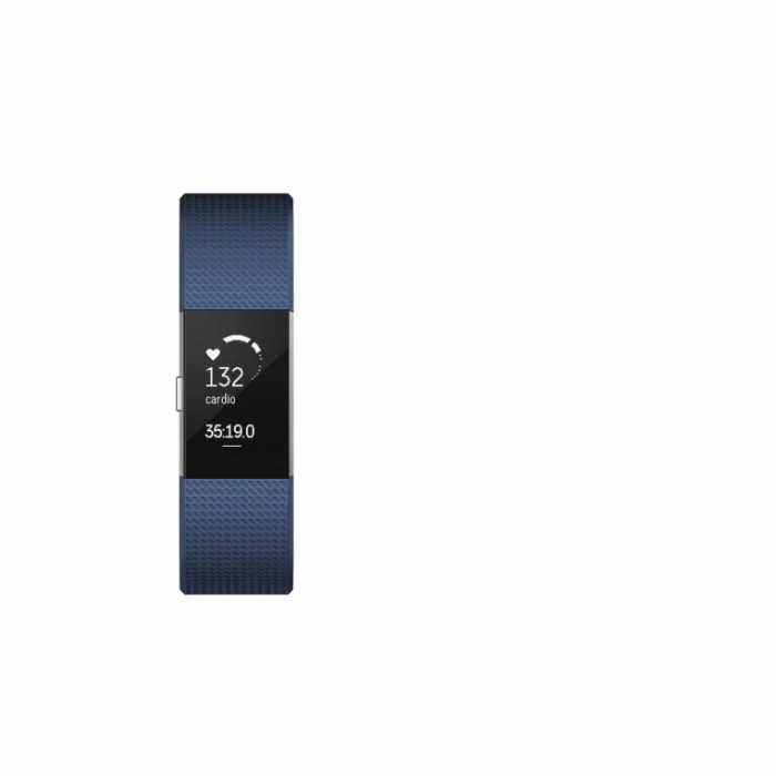 Fitnesa aproce Fitnesa aproce Fitbit Charge 2 Blue Silver L