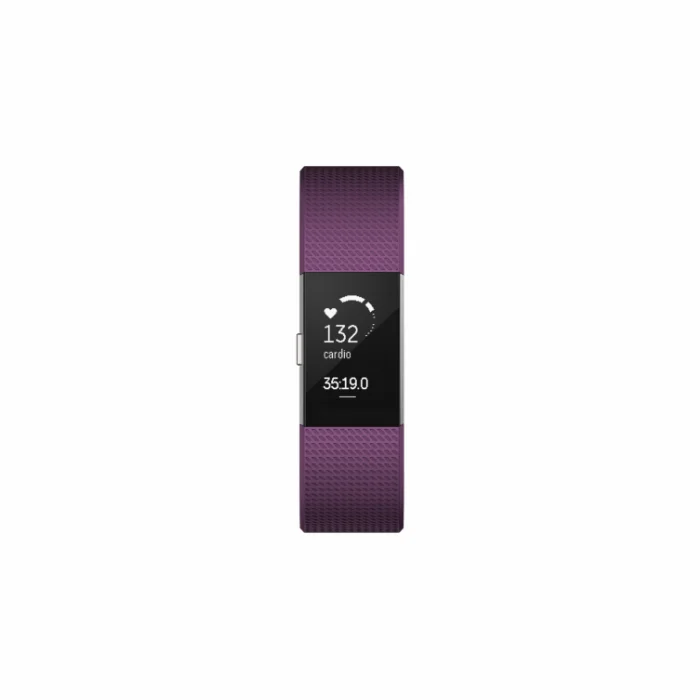 Fitnesa aproces Fitbit Charge 2 Plum Silver L