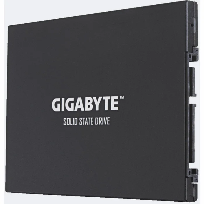 Iekšējie сietie diski Gigabyte UD PRO 256GB SATAIII GP-GSTFS30256GTTD