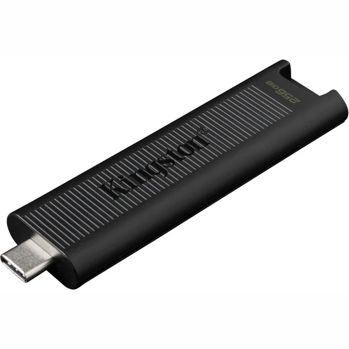 USB zibatmiņa Kingston 256GB USB Type C  DTMAX/256GB