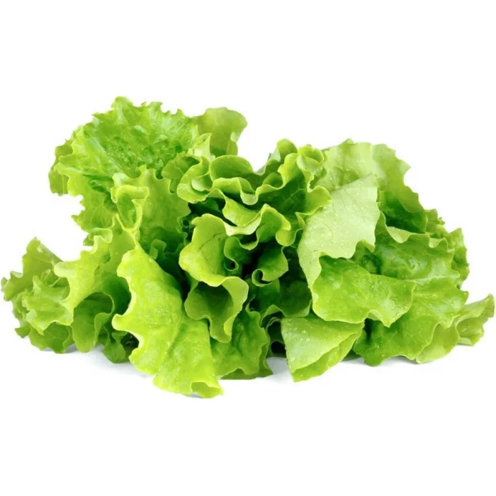 Click & Grow Gudrā dārza Lapu salāti kapsulas