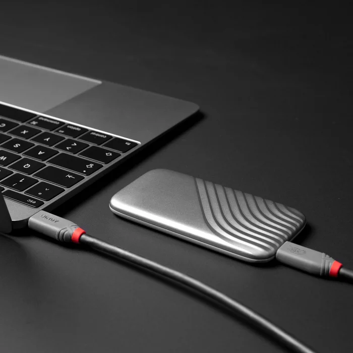 Lādētāji un adapteri portatīvajiem datoriem Lindy 1.5m USB4 240W Type C Cable 40Gbps Anthra Line