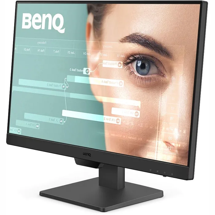 Monitors Benq GW2490 23.8"