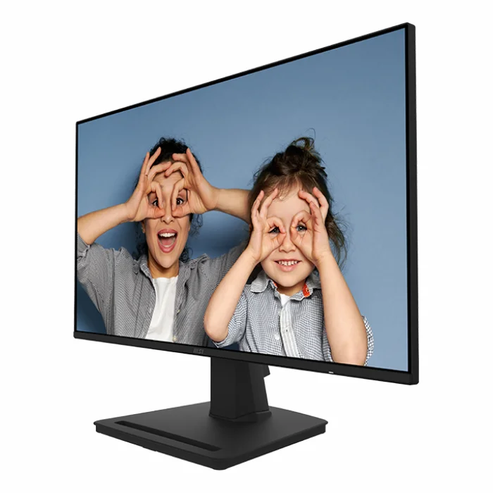MSI PRO MP252 24.5"